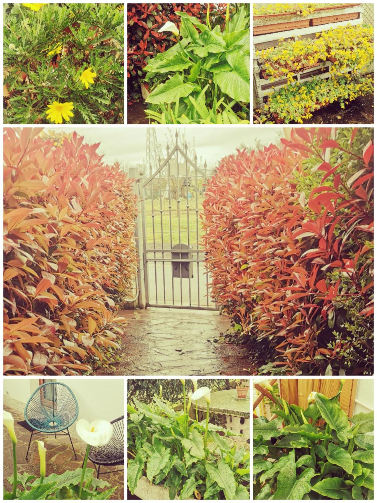 Le 7 Calle Appartement *